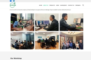 SSL证书的三种类型，哪种适合你的网站？