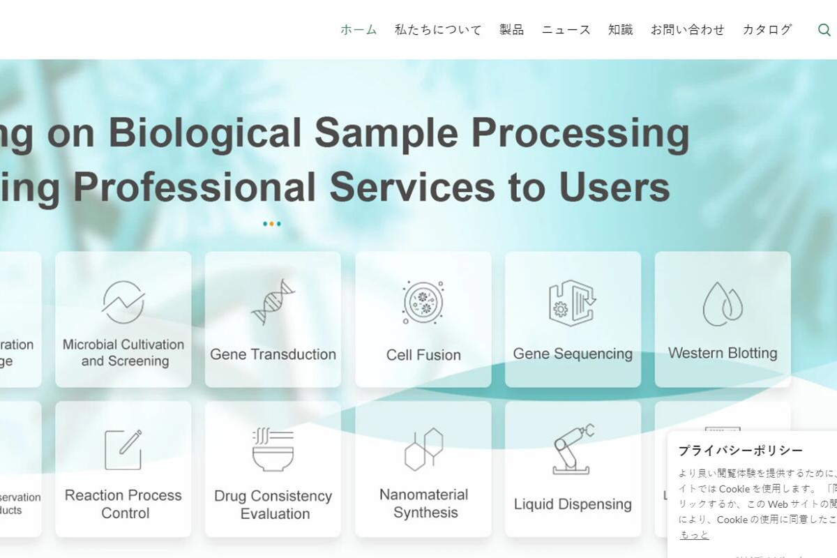 小语种网站到底有什么用？帮助用户拓展市场！ 图1