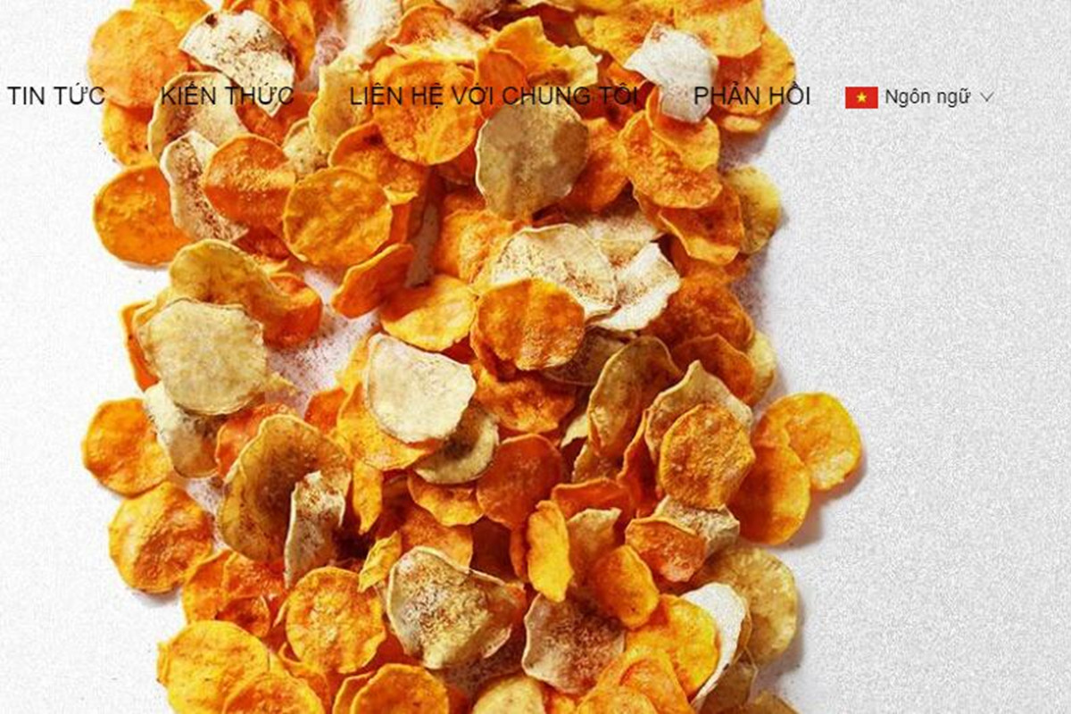 小语种网站设计制作过程中需注意哪些问题？ 图1